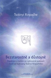 Bezstarostně a důstojně - Tsoknyi Rinpočhe - Kliknutím na obrázek zavřete